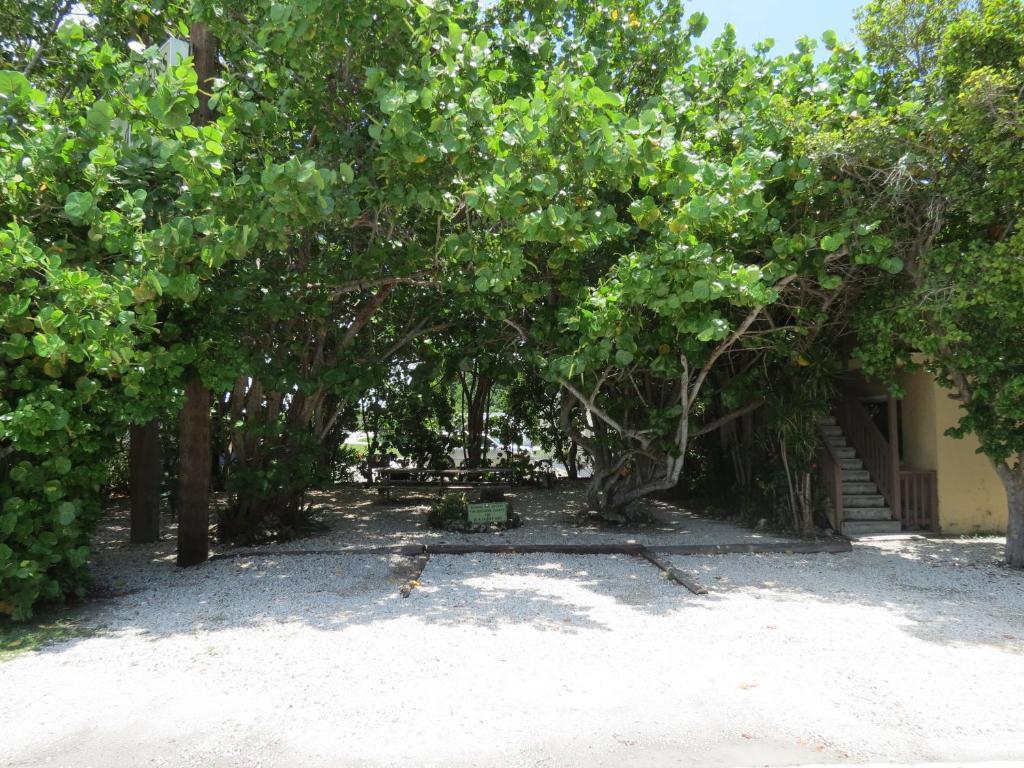 Ed & Ellen'S Lodgings Key Largo Motel Luaran gambar