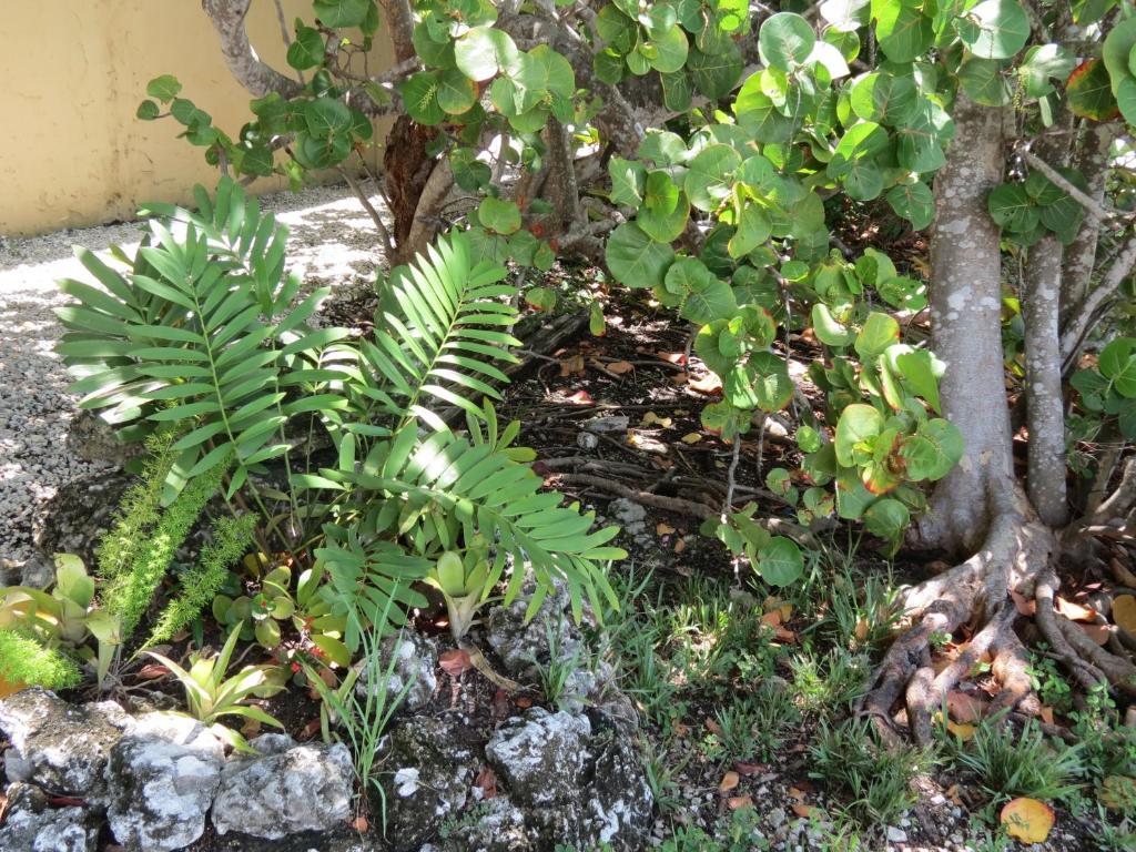Ed & Ellen'S Lodgings Key Largo Motel Luaran gambar