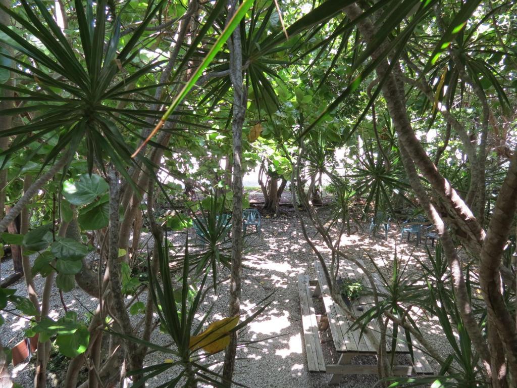 Ed & Ellen'S Lodgings Key Largo Motel Luaran gambar