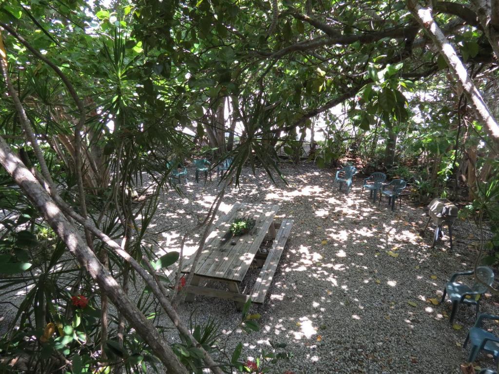 Ed & Ellen'S Lodgings Key Largo Motel Bilik gambar