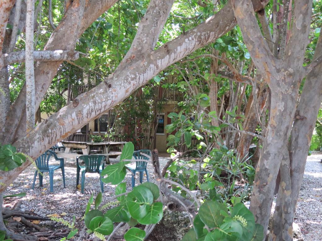 Ed & Ellen'S Lodgings Key Largo Motel Luaran gambar