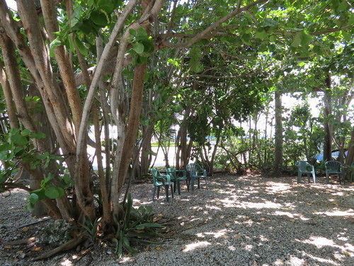Ed & Ellen'S Lodgings Key Largo Motel Luaran gambar
