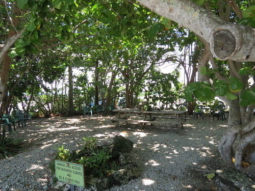 Ed & Ellen'S Lodgings Key Largo Motel Luaran gambar