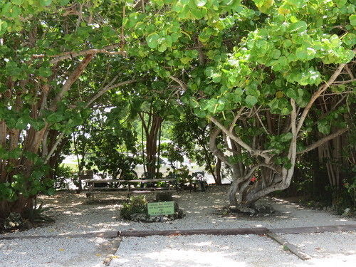 Ed & Ellen'S Lodgings Key Largo Motel Luaran gambar